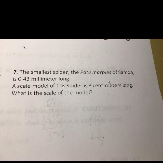 How do you do solve this problem-example-1