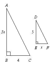 The polygons are similar, but not necessarily drawn to scale. Find the value of x-example-1