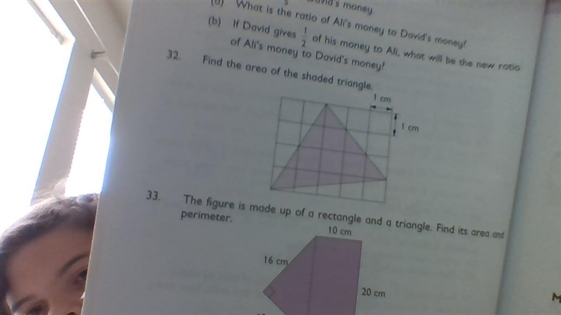 Find the area of this triangle. the one in the middle.-example-1