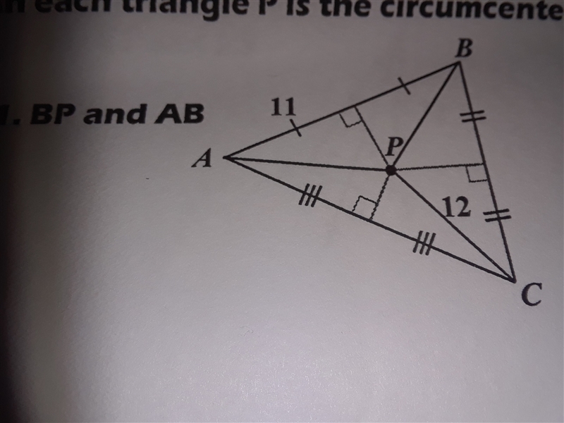 In each triangle p is the circumcenter use circumcenter theorem to solve for the givin-example-1