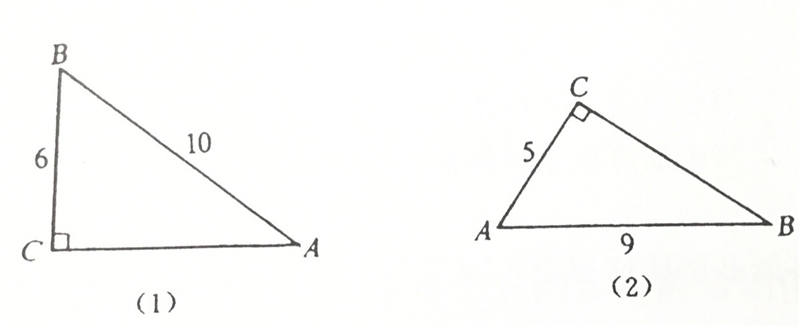 Write the sine and cosine values ​​of A, B, respectively, in the figure for (1) and-example-1