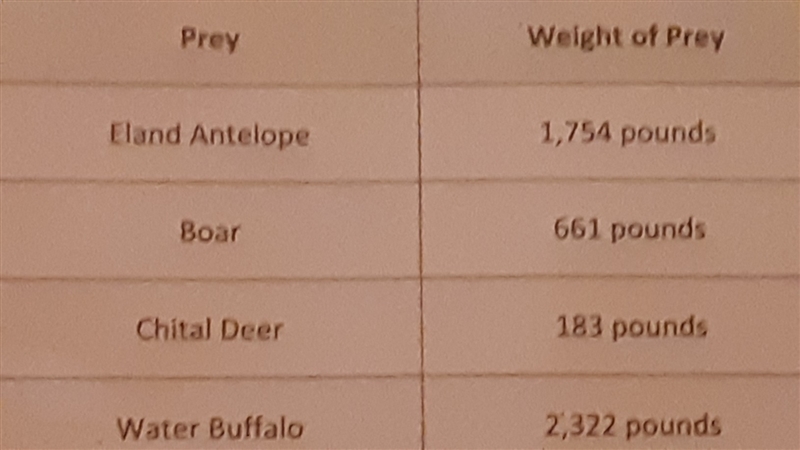 A wild tiger can eat up to 55lbs of meat in a day. About how many days would it take-example-1