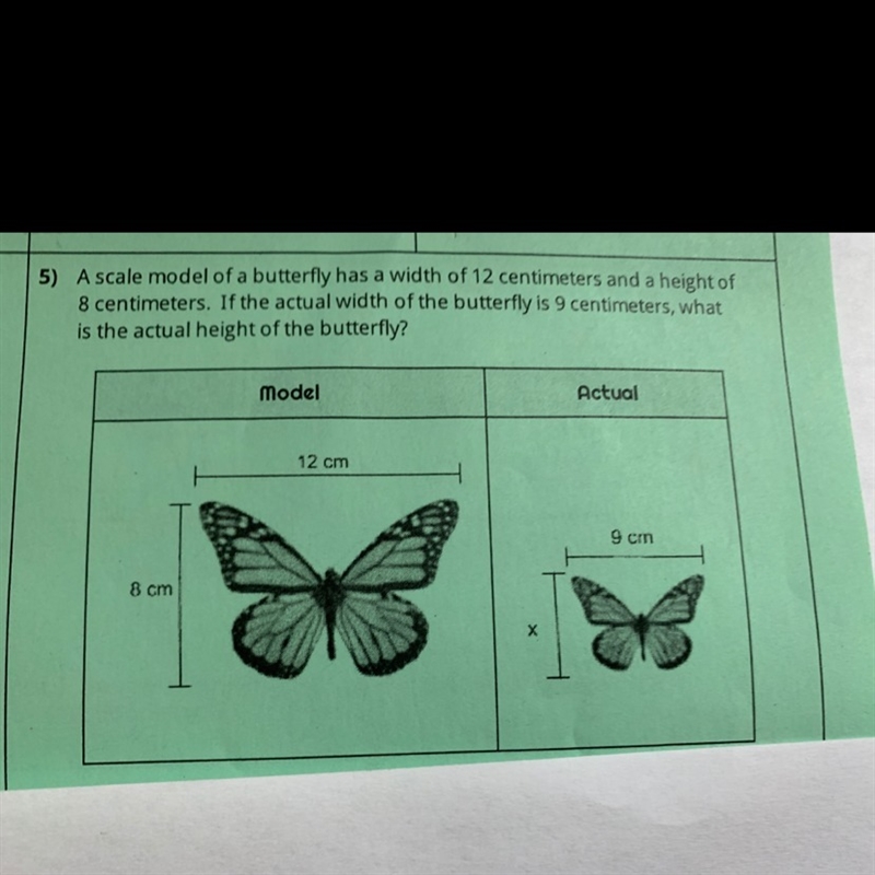 A scale model of a butterfly has a width of 12 centimeters and a height of 8 centimeters-example-1