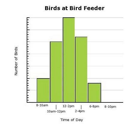 Mr. Roberts collected data to determine how many birds were at his bird feeder during-example-1