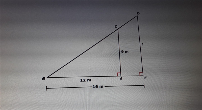 Find the value of t.-example-1