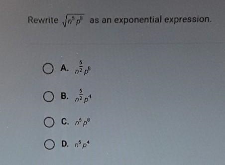 I need help , pleaseeee explain ​-example-1