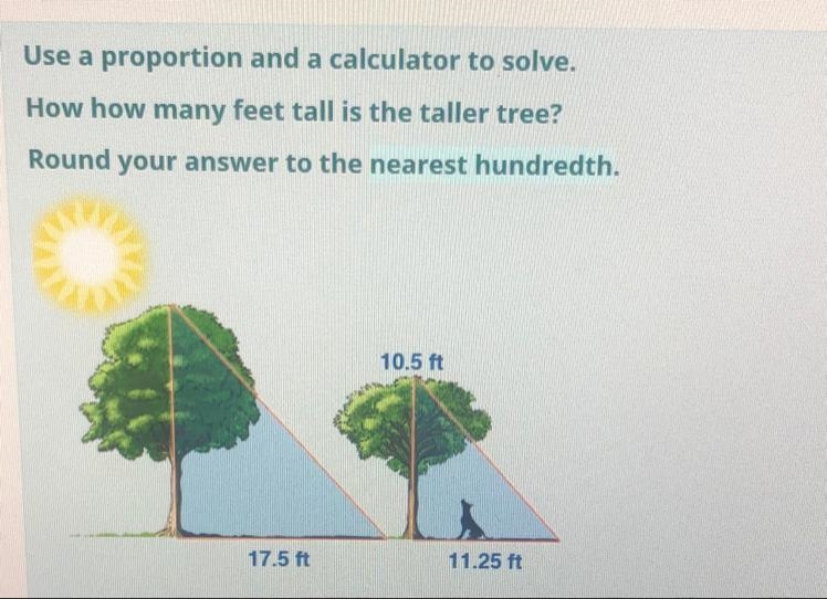 How many feet tall is the taller tree?-example-1