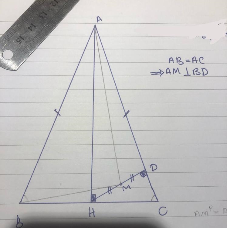 PLEASE HELP 30 POINTS Prove that AM is perpendicular to BD-example-1