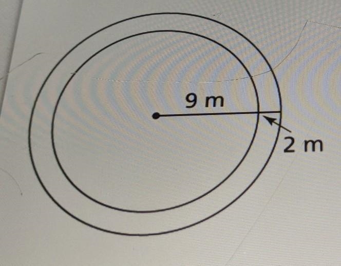 I need help please? Question: What is the difference between the circumference of-example-1