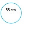 Find the circumference of the circle to the nearest hundredth. Use 3.14 for π.-example-1