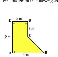 Please find area of the triangle-example-1