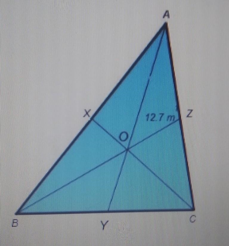 In ABC, O is the centroid of the triangle and AO is 12.7 m. Find the length of OY-example-1