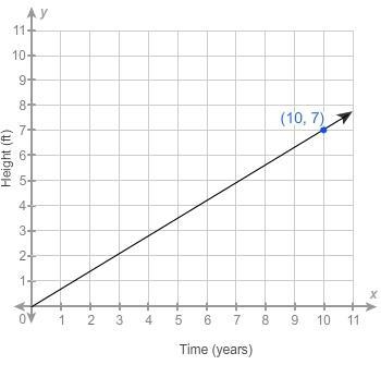 A tree’s height, in feet, is proportional to the number of years it has been growing-example-1