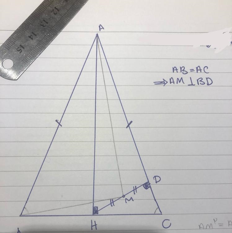 PLEASEEEE HELPPP!! 30 POINTS! PROVE THAT AM IS PERPENDICULAR TO BM-example-1