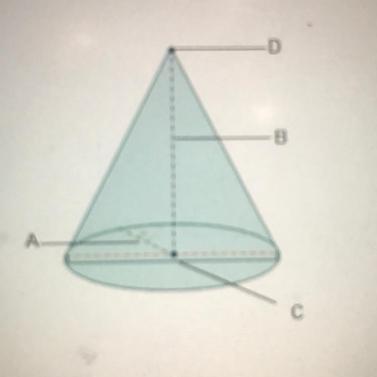 Which label on the cone below represents the height? * A B C D-example-1