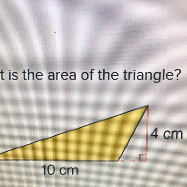 What is the area of the triangle O 20cm O 10cm O 16cm O 17cm-example-1