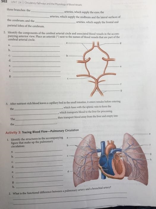 On the following worksheet, can someone help with question #3 only?-example-1