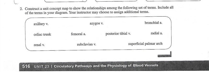 Construct a unit concept map with the set of terms provided in the picture.-example-1