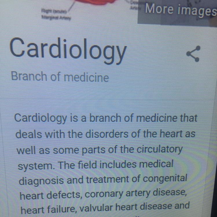 Who is cardiologist ?-example-1