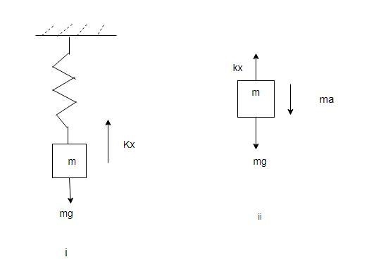 An object of inertia 0.5kg is hung from a spring, and causes it to extend 5cm. In-example-1