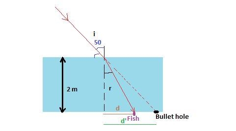 A catfish is spotted at the bottom of a creek. The depth of the water is 2 m. A hunter-example-1