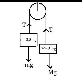 . A 5 kg turkey and a 3.5 kg turkey are suspended on opposite sides of a single pulley-example-1