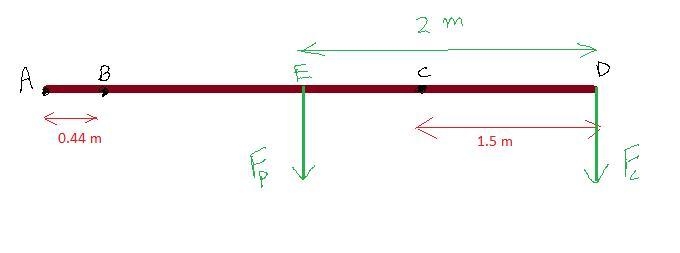 A cat named SchrÖdinger walks along a uniform plank that is 4.00 m long and has a-example-1