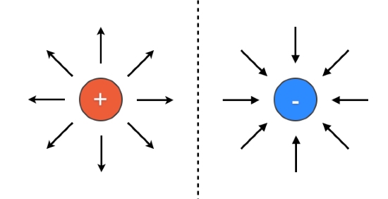 The electric field around a proton can be represented by lines of force that point-example-1