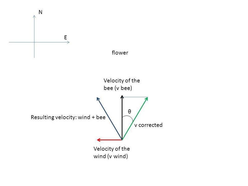 A bee wants to fly to a flower located due North of the hive on a windy day. The wind-example-1