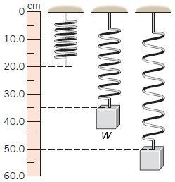 The drawing shows three identical springs hanging from the ceiling. Nothing is attached-example-1