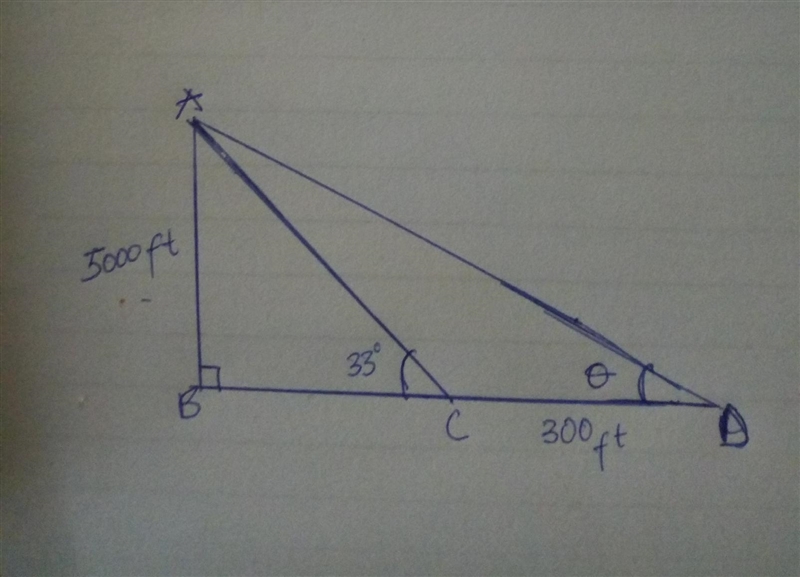 The pilot of an airplane flying at an elevation of 5000 feet sights two trees that-example-1