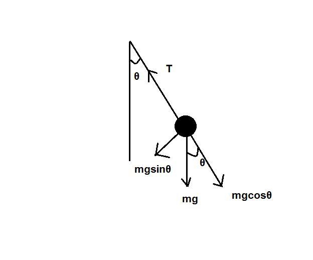 As a simple pendulum of length ℓ sweeps back and forth in the arc of a circle, there-example-1