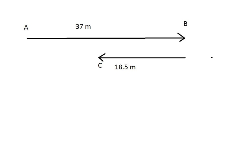 A horse canters away from its trainer in a straight line, moving 37 m away in 9.1 s-example-1