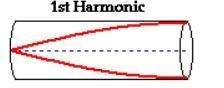 The auditory canal behaves like a resonant tube to aid in hearing. One end terminated-example-1