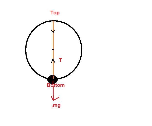 A child whirls a ball in a vertical circle. Assuming the speed of the ball is constant-example-1