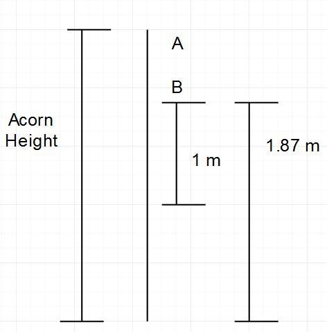 You attach a meter stick to an oak tree, such that the top of the meter stick is 1.87 meters-example-1