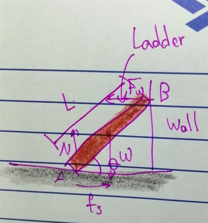 A ladder of length L is placed against a smooth wall such that it forms a angle θ with-example-1