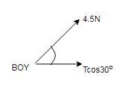 A boy flies a kite with the string at a 30∘ angle to the horizontal. The tension in-example-1