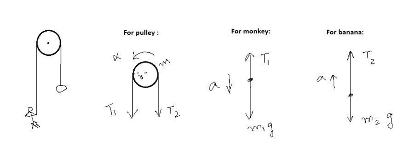 A rope of negligible mass passes over a uniform cylindrical pulley of 1.50 kg mass-example-1