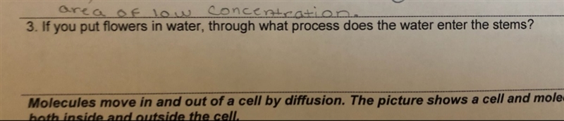 3. If you put flowers in water through what process does the water enter the steams-example-1