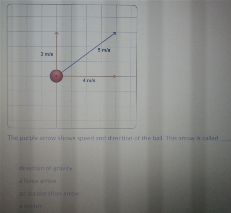 The purple Arrow shows speed and direction of the ball. This arrow is called ______.-example-1