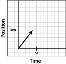 Construct a position-time graph that shows the forward progress of Sunny The Dog in-example-1