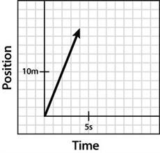 Construct a position-time graph that shows the forward progress of Sunny The Dog in-example-2