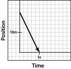 Construct a position-time graph that shows the forward progress of Sunny The Dog in-example-3