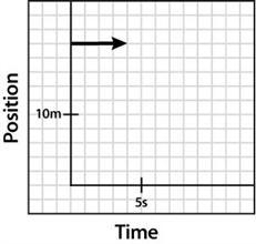 Construct a position-time graph that shows the forward progress of Sunny The Dog in-example-4