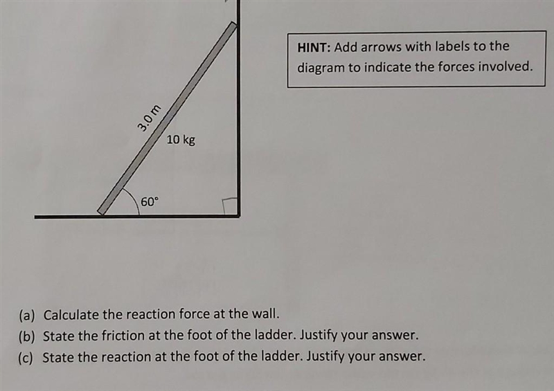 Physics double pivot question​-example-1