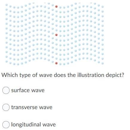 What type of wave does the illustration depict?-example-1