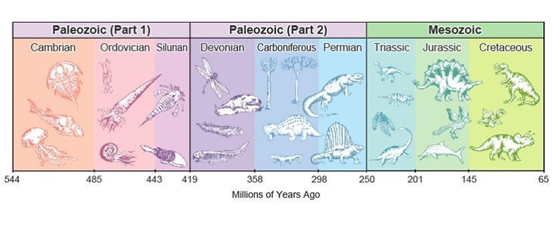 Tudy the images about geologic time. What is a noticeable difference between both-example-1