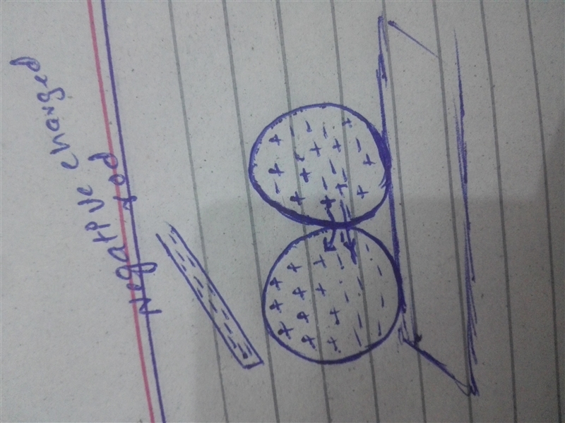 Two neutral metal spheres on wood stands are touching. A negatively charged rod is-example-1