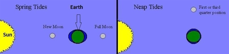 What is the difference between a spring tide and a neap tide-example-1